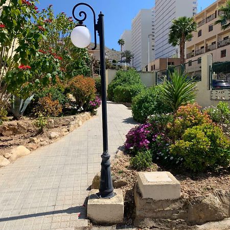 La Siesta Leilighet Benidorm Eksteriør bilde
