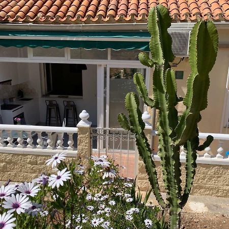 La Siesta Leilighet Benidorm Eksteriør bilde